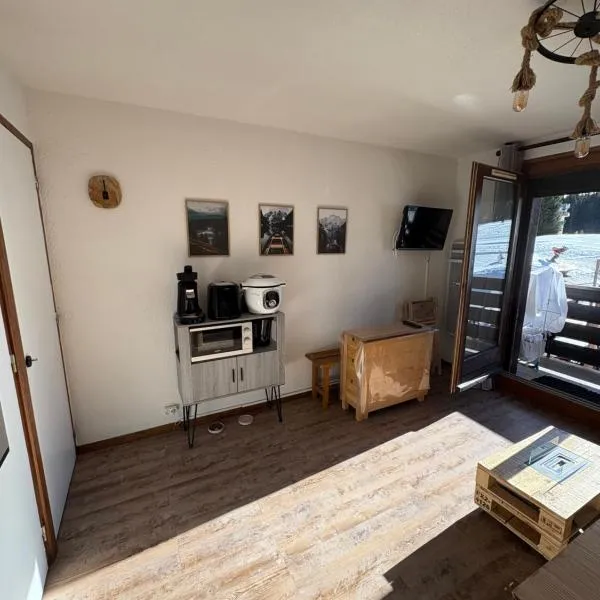 Appartement cosy à la montagne – hotel w mieście Taninges