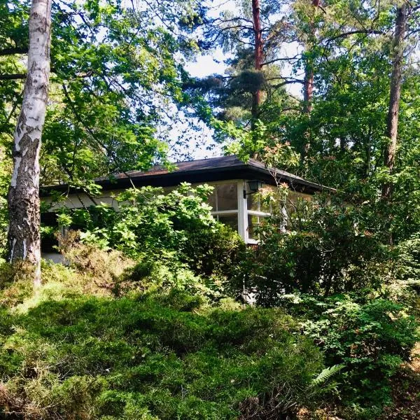 Waldhaus am Meer, Hotel in Lubmin