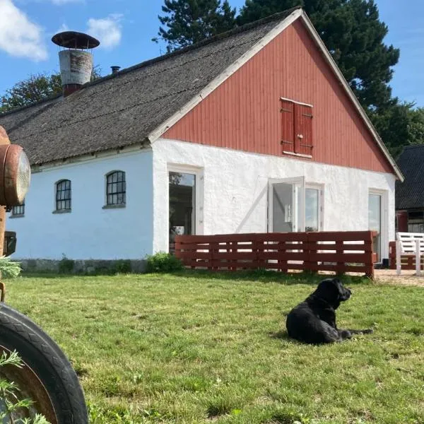 Dambækgaard Sustainable Farm, hotel v destinaci Hårlev