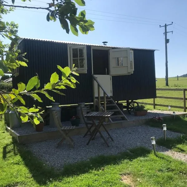 Phoenix Farm Shepherds Hut,Minions, Cornwall, hotel in Liskeard