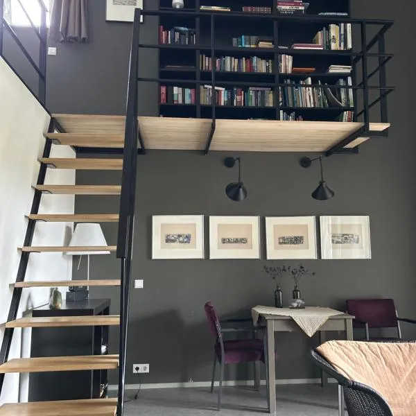 Dorpsstudio, hotel v destinaci Noordwolde