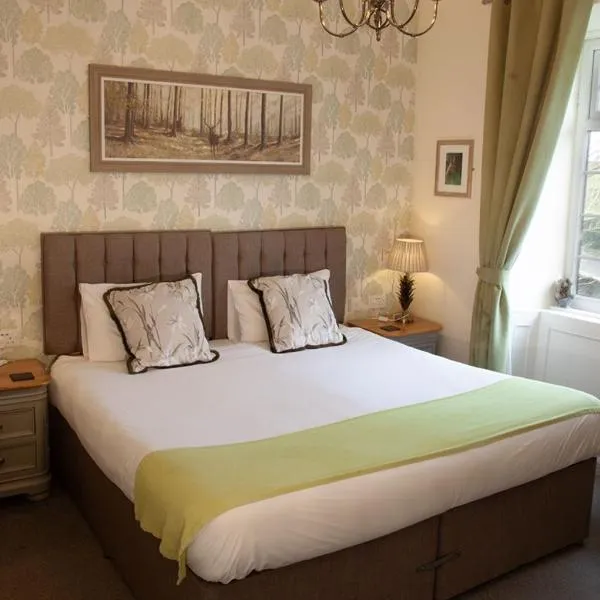 Ensuite Bed And Breakfast Rooms At The Ring Pub、Gwredogのホテル