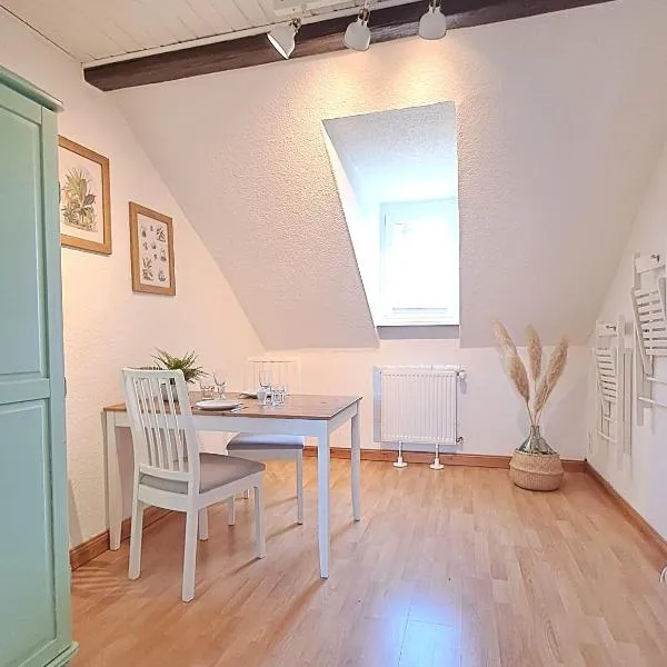 liebenswertes Apartment 10 Minuten zur Altstadt, hotel in Koblenz