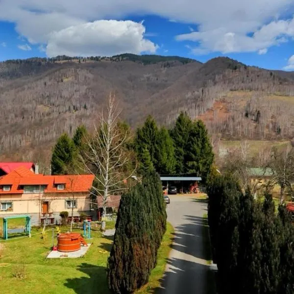 Pensiunea Florina, hotel v destinaci Poiana Mărului