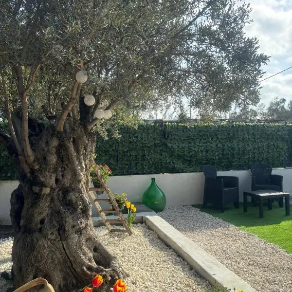 Maria Apartment, hotel v destinácii Vaccarizzo - Delfino