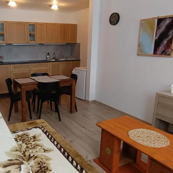 Viazo Apartment, hotel in Dolný Kubín