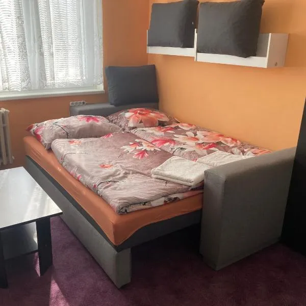 Garsoniera U lesoparku, hotel v Horním Slavkově