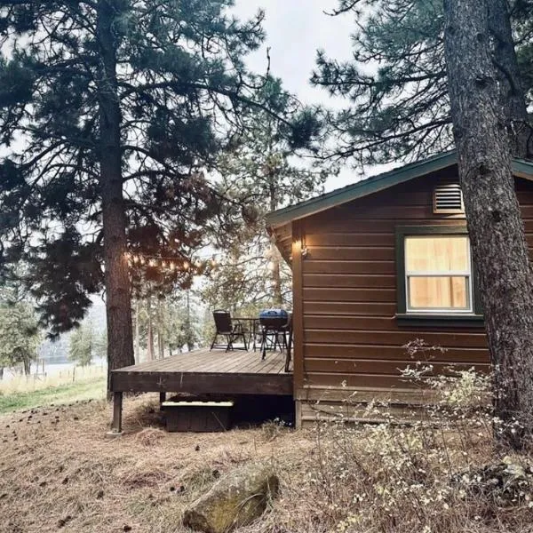 Cozy Cabin with Coeur d'Alene Lake views, hotel in Coeur d'Alene