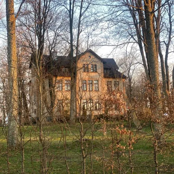 Pałac Poraj, hotel v destinaci Wicko