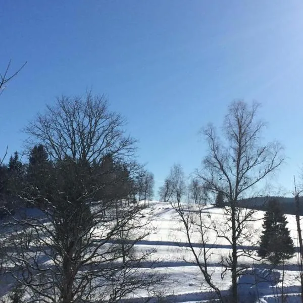 Surki's Loggia an der Sonne，施盧赫湖的飯店