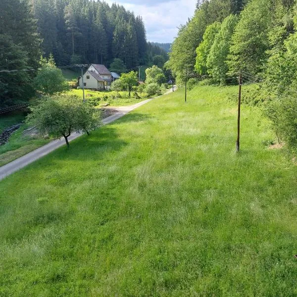 This is only meadow, hotel Kolárovice városában