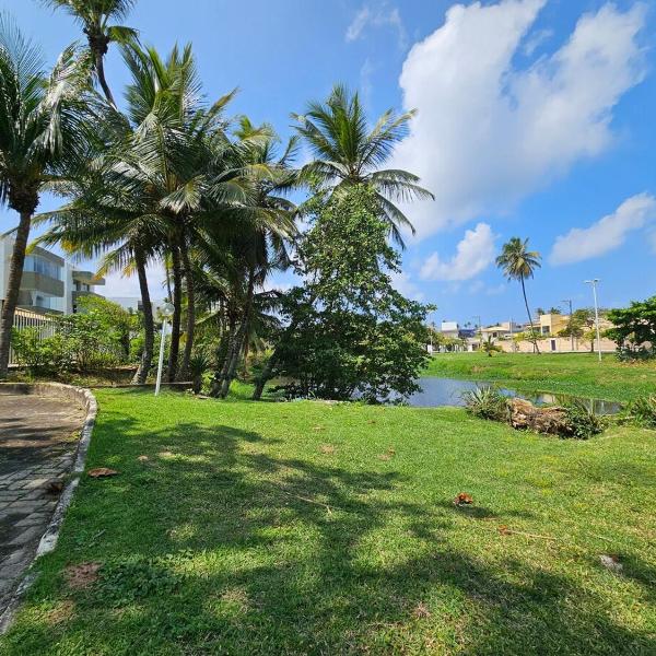 Apartamento aconchegante na praia - Foto 5