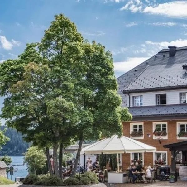 Hotel Schiff am Schluchsee, hotel u gradu 'Schluchsee'