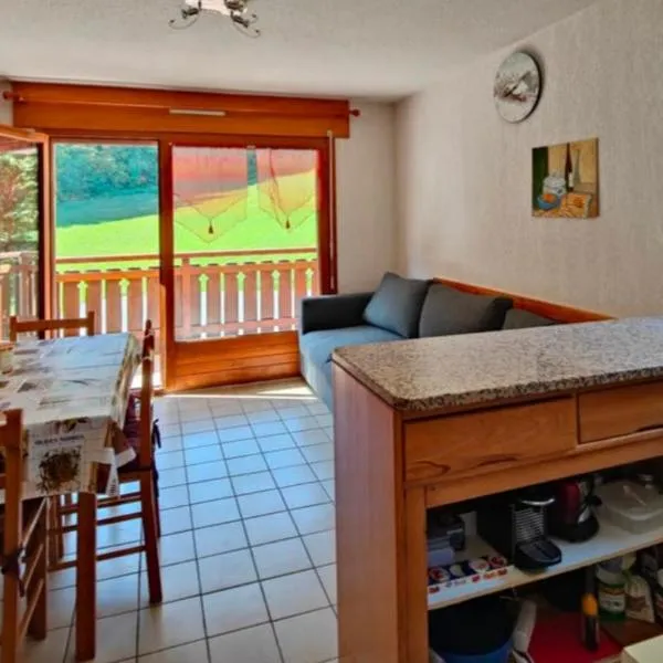 Appartement Chalets du Pounant, מלון בBellevaux