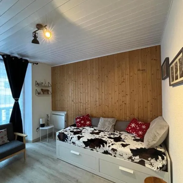 Appartement La Bresse, hotel v destinácii La Bresse