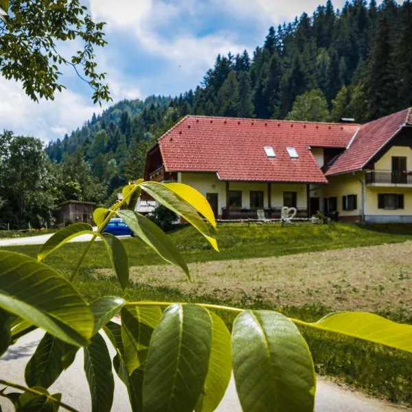 Farm Stay Loger, hotel v destinaci Ljubno