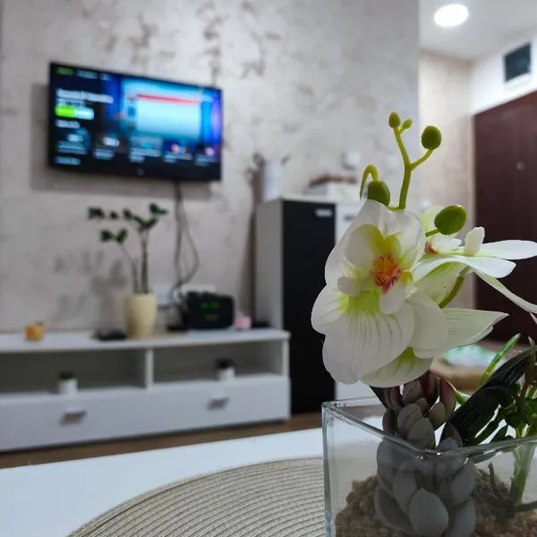 Apartman Tara 2, hotel in Sremska Mitrovica