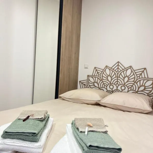 Zen & Nature au Centre Ville, hotel em Audun-le-Tiche