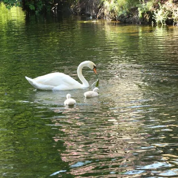 Golden Key Bordubet, hotell sihtkohas Hisarönü