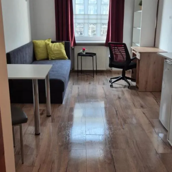 Hostel Tulip - pokój jednoosobowy nr 1 ze wspólną łazienką i kuchnią, hotel in Szczecin