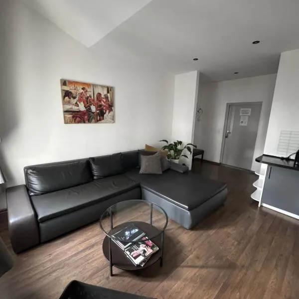 Apartamenty Młyńska15 self check-in 24h, hotel in Katowice