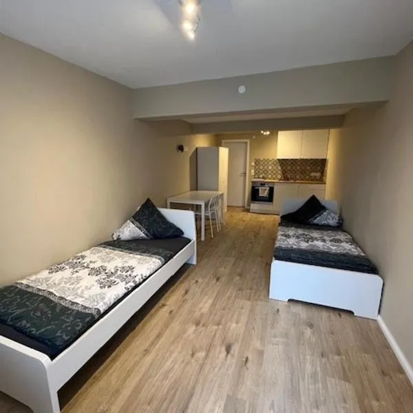 Moon Monteur Apartment, hotel in Rodenbach