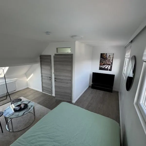 Qozyroom, hotel v Bruselu