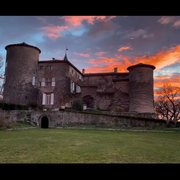 Chateau de Montcuquet, hotel in Lautrec