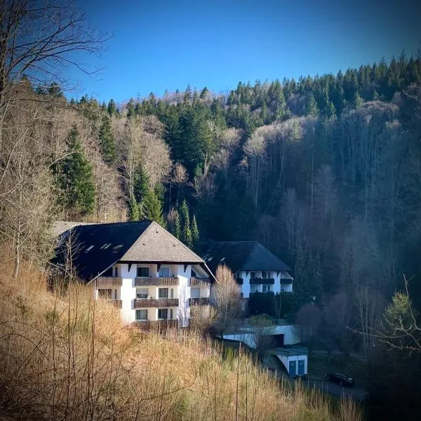 Ferienwohnung Riese, hotel in Triberg