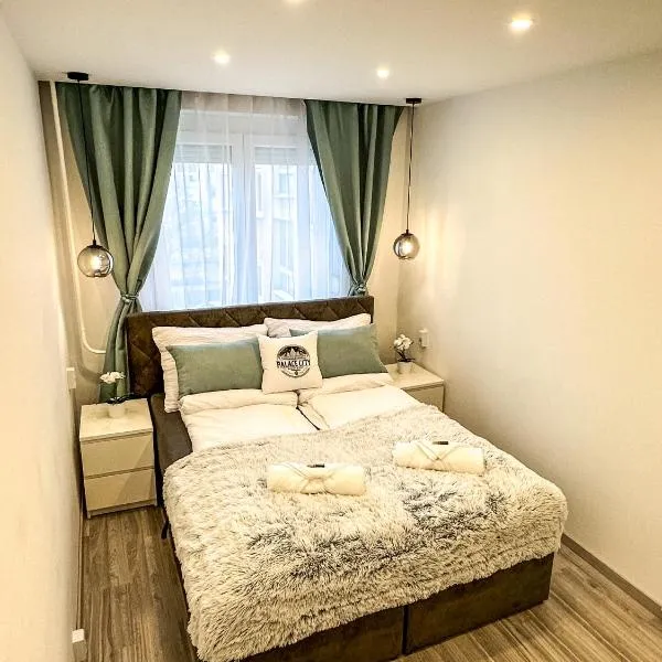 Palace City Apartman,T13, AC, Klima, hotel v destinaci Székesfehérvár