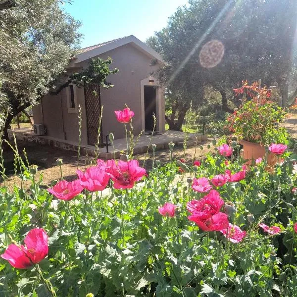 olvia, hotel di Lixouri