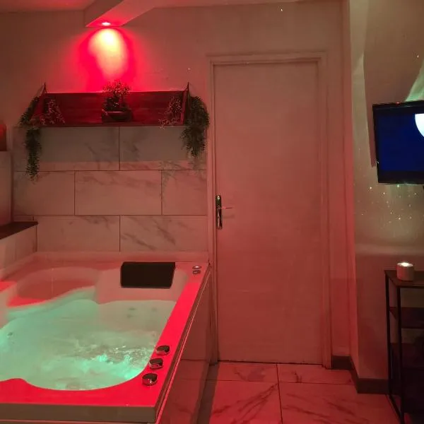 Exotic Spa Balcon Wifi Netlfix Parking, hotel in Belfort