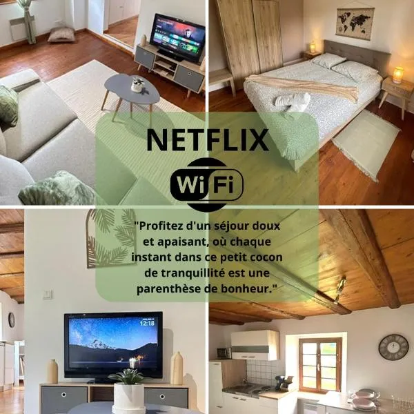 Cocon du Vignoble, hotel v destinaci Turckheim