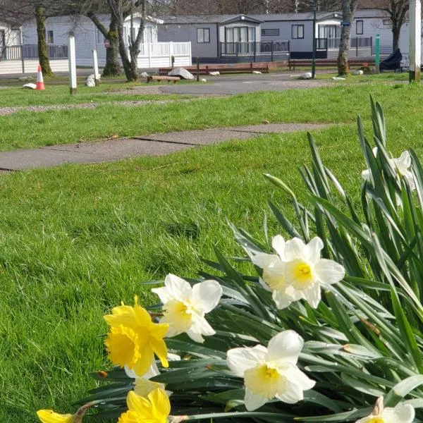 Lomond Woods Holiday Park, hotel in Balloch
