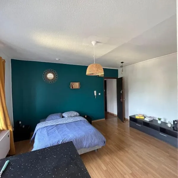 TORINO - Appartement cozy, hotel v destinaci Sarrebourg