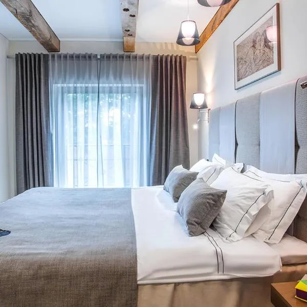 Michaelson Boutique Hotel & SPA Brícoła, hotel in Klaipėda