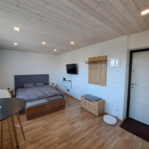 Apartment in Vana-Pärnu, hotel v destinaci Pärnu
