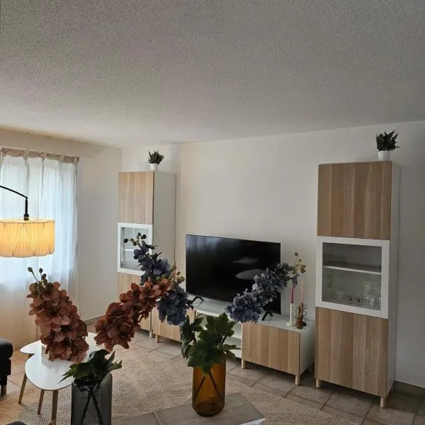Tegerfelden Weinregion, hotel v destinaci Tegerfelden