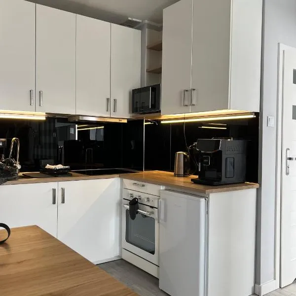 Apartament City Rent Płock 2, hotel v destinaci Płock