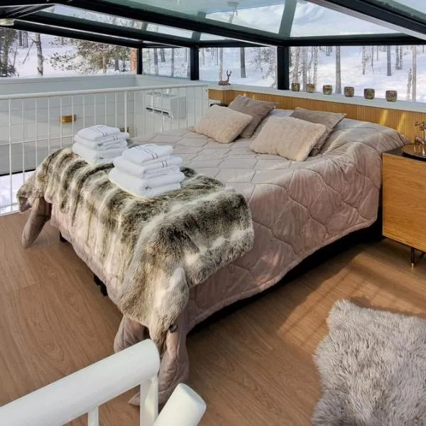 Levi Sky Igloo with private sauna and hot tub, hotel in Levi