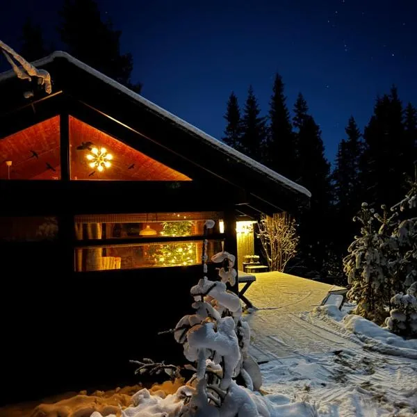 Ål-hytte i Snertingdal på solrik tomt med suveren beliggenhet, khách sạn ở Gjøvik