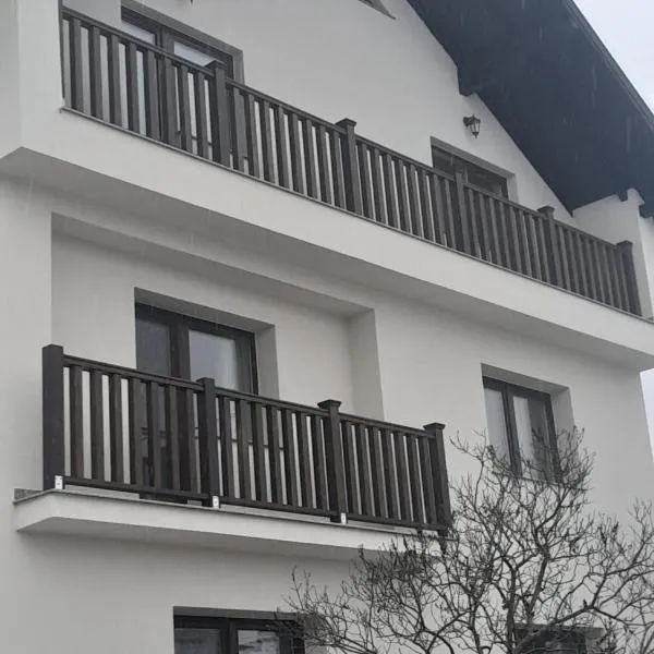 Casa Carmen, hotel in Poienile Izei