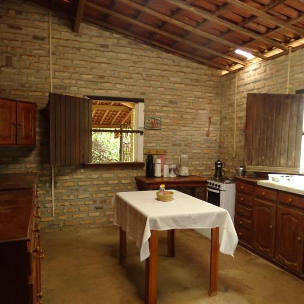 Jungle House - Foto 3