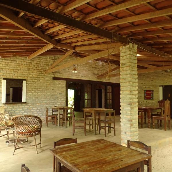 Jungle House - Foto 4