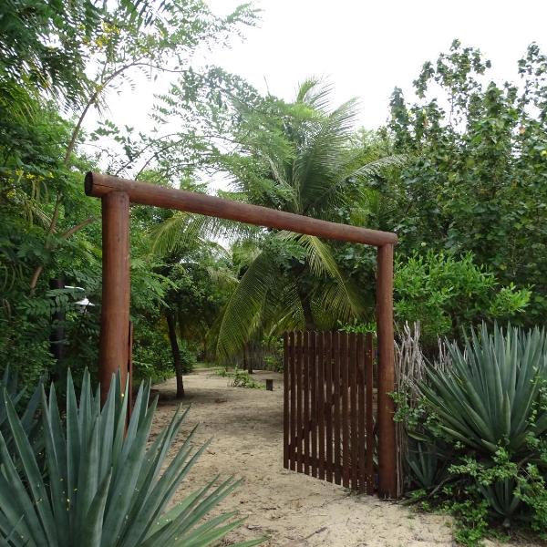 Jungle House - Foto 5