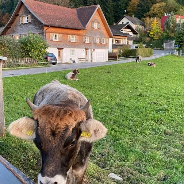 Willkommen im Rustico - Deinem Rückzugsort zwischen Bergen und Bodensee, hotel v destinaci Schwarzach