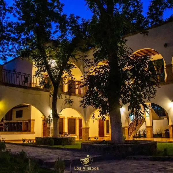 Los Viñedos Gran Hotel, hotel in Parras de la Fuente