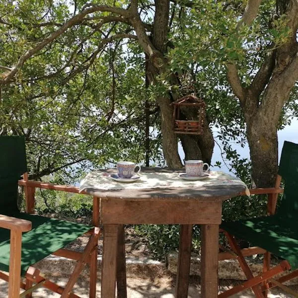 Granny's House, hotel in Kouniádhoi