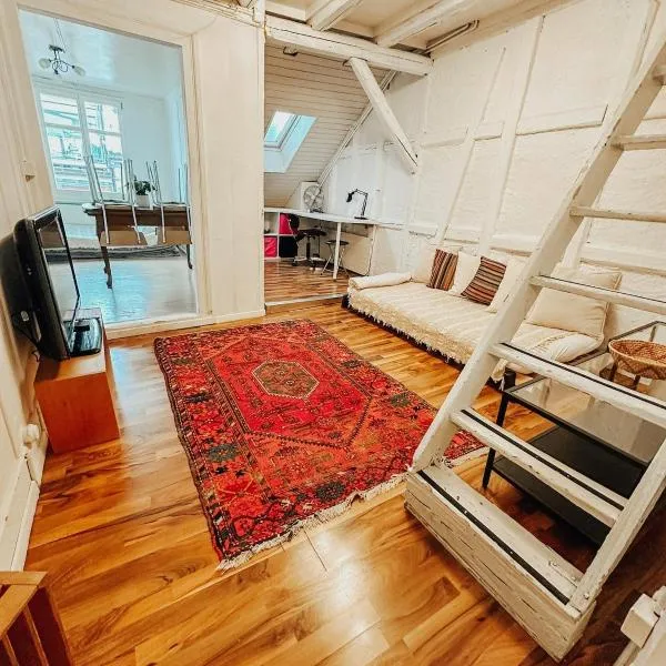 Central city apartment with terrace、ザンクト・ガレンのホテル