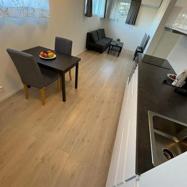 Temis apartment, private new 1 bed room and 1 living room with sofa bad and lagre kitchen, share with nobody, hotel v Oslu